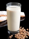 HORCHATA Royalty Free Stock Photo